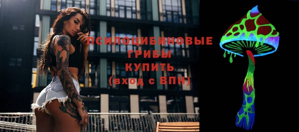 прущая мука Кодинск