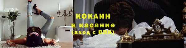 кокс Козельск