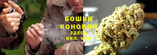 кокс Козельск